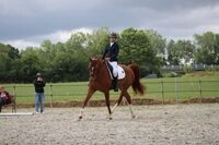 STAGE DRESSAGE ET LONGUES RENES